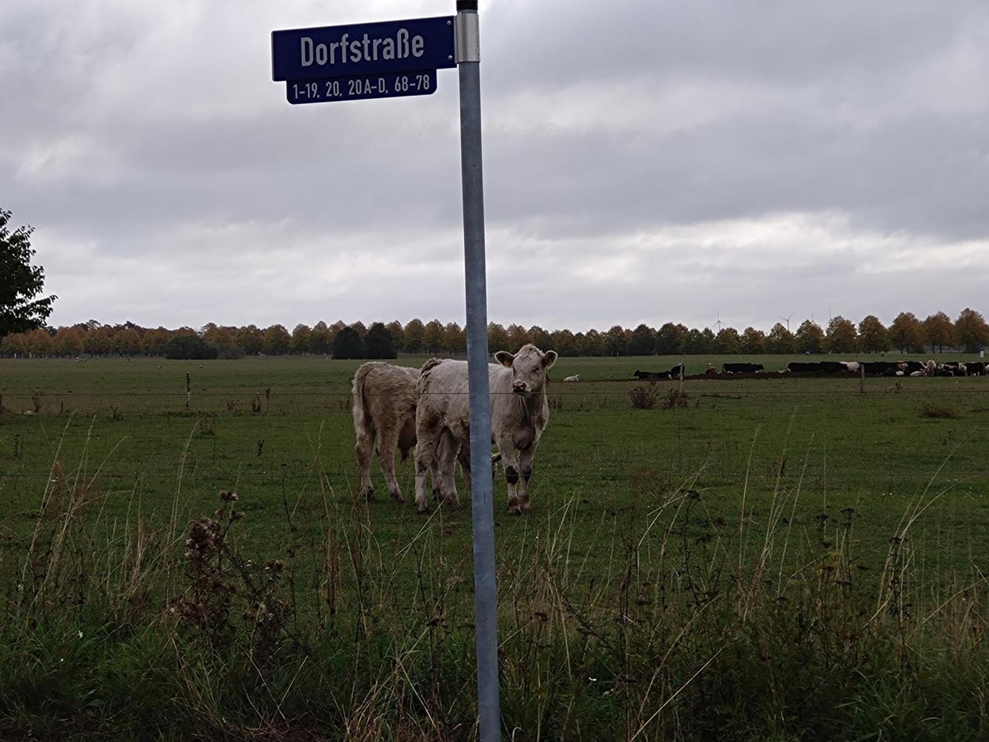 Moderne Barrierefreie Wohnung Auf Dem Land Bei Neuruppin Lichtenberg  Exteriör bild